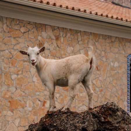 Quinta Do Bamby Villa Лейрия Екстериор снимка