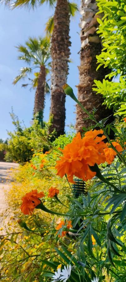 Quinta Do Bamby Villa Лейрия Екстериор снимка