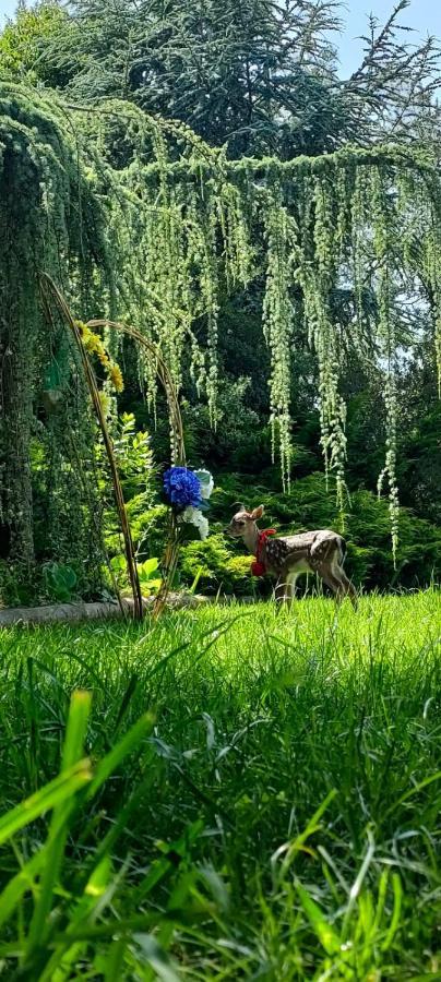 Quinta Do Bamby Villa Лейрия Екстериор снимка