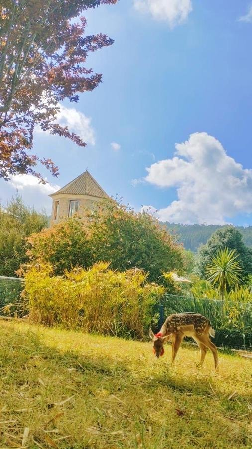 Quinta Do Bamby Villa Лейрия Екстериор снимка