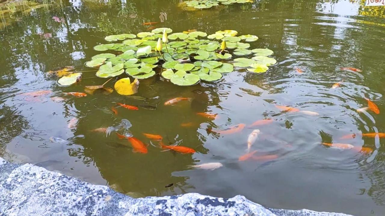 Quinta Do Bamby Villa Лейрия Екстериор снимка
