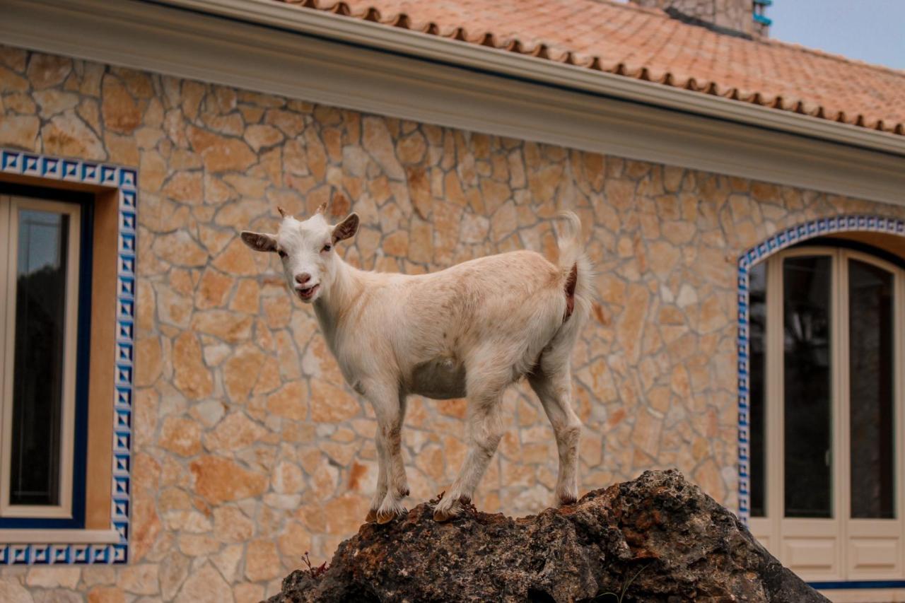 Quinta Do Bamby Villa Лейрия Екстериор снимка